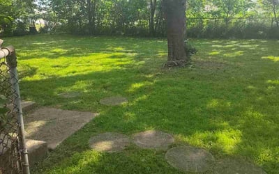 Photo of William B.'s yard after getting lawn care in Gloucester, MA