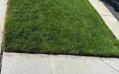 Photo of Betsy W.'s yard after getting lawn care in Henderson, NC