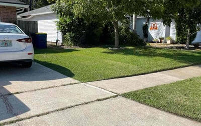 Photo of Betsy M.'s yard after getting lawn care in Elizabethton, TN