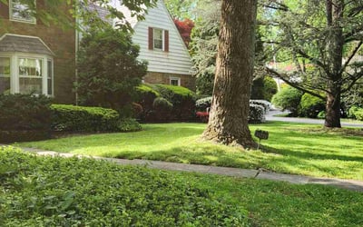 Photo of David B.'s yard after getting lawn care in Elkins Park, PA