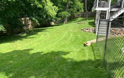 Photo of Ronald P.'s yard after getting lawn care in Lexington, MA