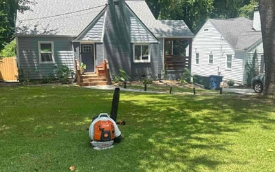 Photo of Patricia W.'s yard after getting lawn care in Ocean City, MD