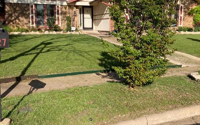 Photo of Michael J.'s yard after getting lawn care in Richardson, TX