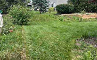 Photo of Paul C.'s yard after getting lawn care in Peabody, MA
