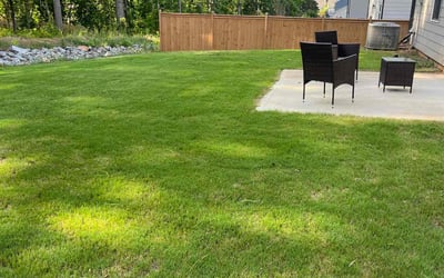 Photo of Paul C.'s yard after getting lawn care in Manvel, TX