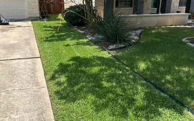 Photo of Colleen A.'s yard after getting lawn care in Hutto, TX