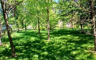 Photo of Lytrell B.'s yard after getting lawn care in Wright City, MO