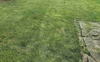 Photo of Dr. Terry L.'s yard after getting lawn care in Oconomowoc, WI