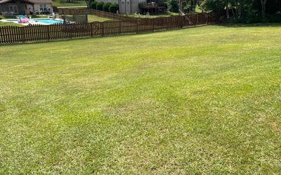 Photo of Doris M.'s yard after getting lawn care in Taylors, SC