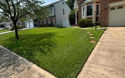 Photo of Miranda W.'s yard after getting lawn care in Odenton, MD