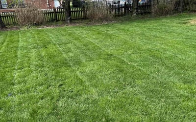 Photo of David G.'s yard after getting lawn care in Louisville, KY