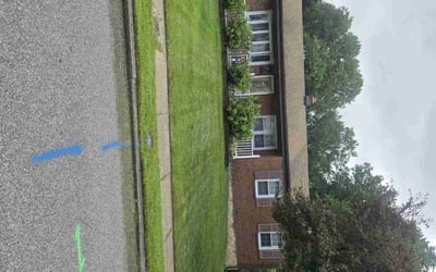 Photo of Pauline W.'s yard after getting lawn care in Kansas City, MO