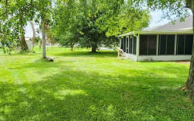 Photo of Nicole B.'s yard after getting lawn care in Pearland, TX
