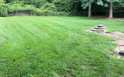 Photo of Ilene D.'s yard after getting lawn care in Mount Vernon, WA
