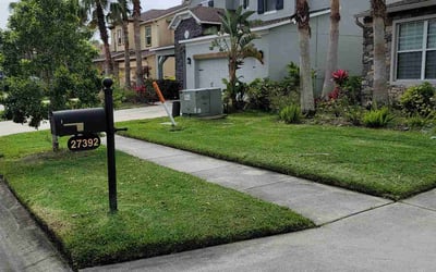 Photo of Nancy N.'s yard after getting lawn care in Montclair, NJ