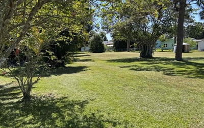 Photo of Angelique S.'s yard after getting lawn care in Hurst, TX