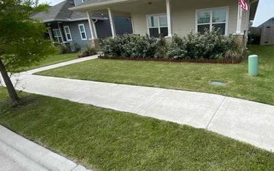 Photo of Dennis W.'s yard after getting lawn care in Hutto, TX