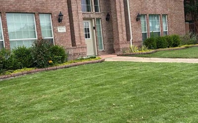 Photo of Christopher E.'s yard after getting lawn care in Madison, MS