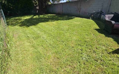 Photo of Donn M.'s yard after getting lawn care in San Clemente, CA