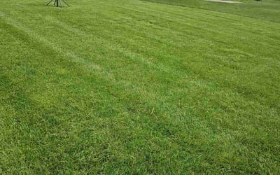 Photo of Raman T.'s yard after getting lawn care in Galloway, OH
