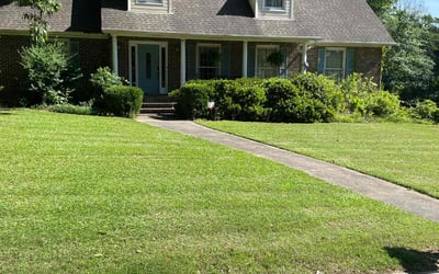 Photo of Tim D.'s yard after getting lawn care in Birmingham, AL