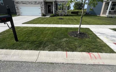 Photo of April H.'s yard after getting lawn care in Demotte, IN