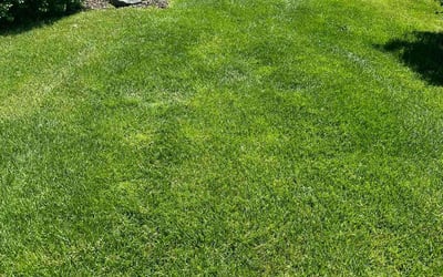 Photo of Dalton G.'s yard after getting lawn care in Clive, IA