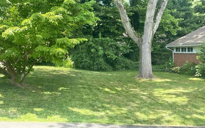 Photo of Stephanie H.'s yard after getting lawn care in Chalfont, PA