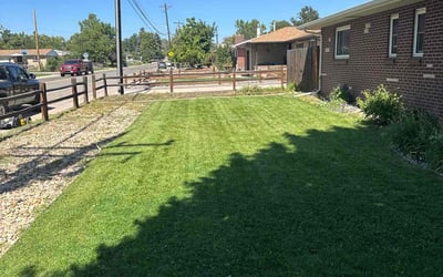 Photo of Alex G.'s yard after getting lawn care in Arvada, CO