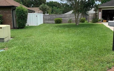 Photo of Jp T.'s yard after getting lawn care in Hutto, TX