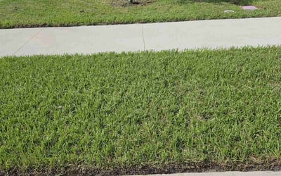 Photo of Donna E.'s yard after getting lawn care in Sterling, VA