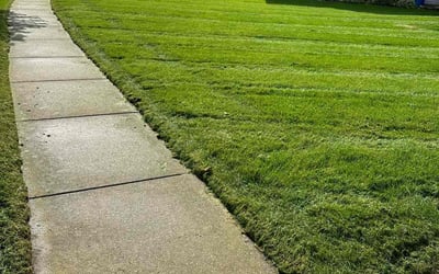 Photo of LaTisha H.'s yard after getting lawn care in West Fargo, ND