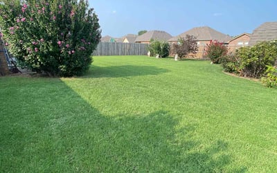 Photo of Nelson S.'s yard after getting lawn care in Yukon, OK