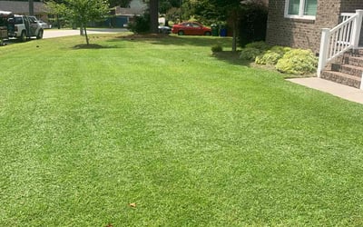 Photo of Tiffany M.'s yard after getting lawn care in Suffolk, VA