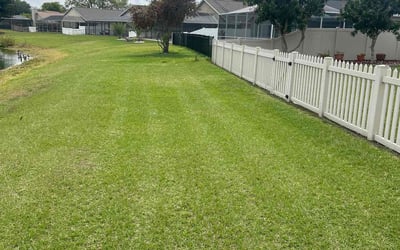 Photo of Precious T.'s yard after getting lawn care in Niceville, FL