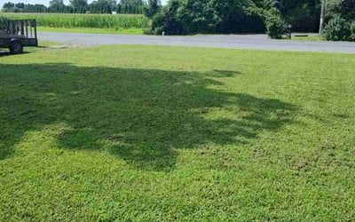 Photo of Jennie M.'s yard after getting lawn care in Seaford, DE