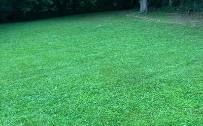 Photo of Bradley E.'s yard after getting lawn care in Jackson, MS