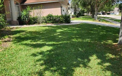 Photo of Carece S.'s yard after getting lawn care in South Portland, ME