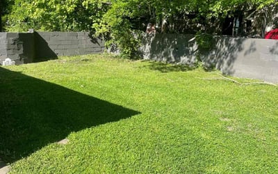 Photo of Jamie M.'s yard after getting lawn care in Bartlett, TN