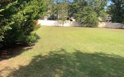 Photo of Ralph Y.'s yard after getting lawn care in Raeford, NC