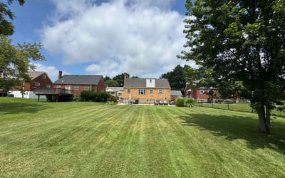Photo of Joshua B.'s yard after getting lawn care in Brentwood, CA