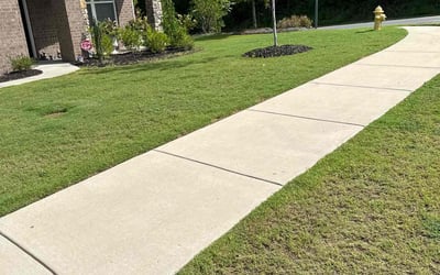 Photo of Brittany W.'s yard after getting lawn care in Denver, NC