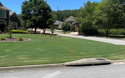 Photo of Jason P.'s yard after getting lawn care in Hazel Green, AL