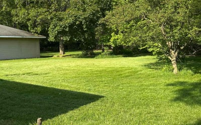 Photo of Isaac F.'s yard after getting lawn care in Bartow, FL