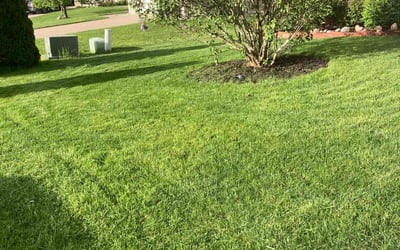Photo of Justin D.'s yard after getting lawn care in Walled Lake, MI