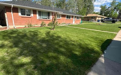 Photo of Simon O.'s yard after getting lawn care in Bradenton, FL