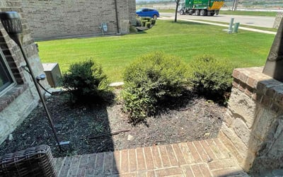 Photo of Joseph W.'s yard after getting lawn care in Los Altos, CA