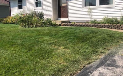 Photo of Ted C.'s yard after getting lawn care in Waukesha, WI