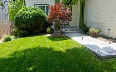 Photo of Jamie H.'s yard after getting lawn care in Bayville, NJ