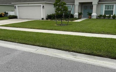 Photo of Debra H.'s yard after getting lawn care in Lake Placid, FL